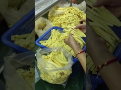 حلقه های O از لاستیک سیلیکونی برای دمای شدید (-30.C ~ 230.C)